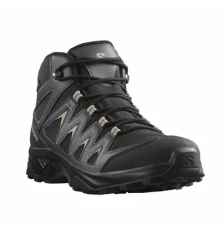 Ботинки мужские Salomon X Braze Mid Gtx Black 471748