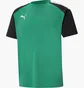 Футболка мужская Puma Teampacer Jersey Green 704919-05