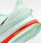 Кросівки чоловічі Nike Pegasus Premium MenS Road Running Shoes Green HQ2592-301