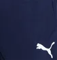 Шорты мужские Puma Teamliga Training Shorts Blue 657249-06