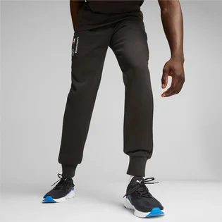 Штаны мужские Puma Bmw M Rsport Ess Black 621302-01