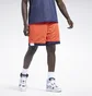 Шорты мужские Reebok Iverson Basketball Blue HE9353
