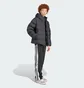 Пуховик мужской Adidas Tonal Hooded Black JX4123