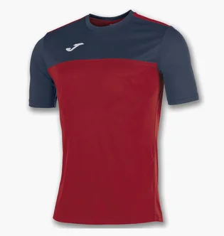Футболка мужская Joma Winner Red/Blue 100946.603