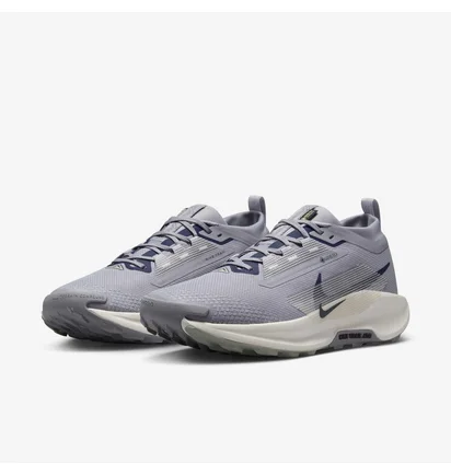 Кроссовки мужские Nike Pegasus Trail 5 Gtx Grey FQ0908-006
