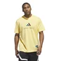 Футболка мужская Adidas Wwh Logo G T Yellow IY1155