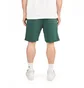Шорти унісекс Norse Projects Falun Gmd Sweatshorts Green N35-0589-8120