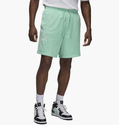 Шорты мужские Air Jordan Essentials Shorts Green FN4647-349