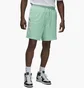 Шорты мужские Air Jordan Essentials Shorts Green FN4647-349