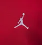 Свитшот мужской Air Jordan Brooklyn Fleece Red FJ7776-687