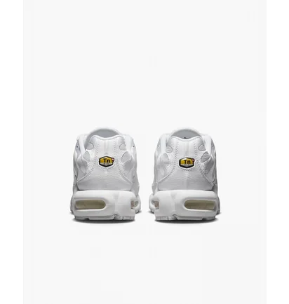 Кроссовки мужские Nike Air Max Plus White Aj2029-100