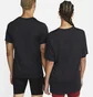 Футболка мужская Nike Dri-Fit Black Dm5412-010