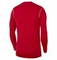 Лонгслів дитячий Nike Dri-Fit Park 20 Red FJ3008-657