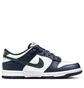 Кроссовки детские Nike Dunk Low White/Blue HF5177-400