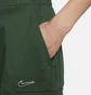 Штани жіночі Nike Sportswear Green FV4969-323