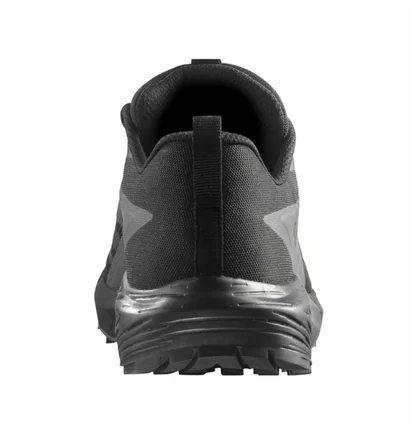 Кросівки чоловічі Salomon Sense Ride 5 Gtx Black 471472