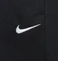 Шорты мужские Nike Icon Dri-Fit 11 Basketball Shorts Black DQ5822-016