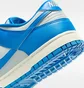 Кросівки чоловічі Nike Dunk Low Retro MenS Shoes Blue HF5441-002