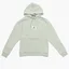Худи мужское Air Jordan Essentials Statement Fleece Hoodie Green Da9816-017
