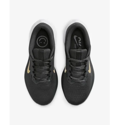 Кроссовки женские Nike Winflo 10 Black DV4023-005