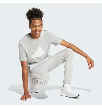 Футболка мужская Adidas Future Icons Badge Of Sport T-Shirt Grey IY4283