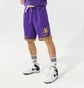 Шорты мужские Nike Lal M Nk Df Dna Short Team Nba Violet DH9175-504