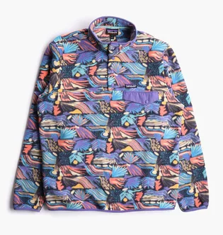 Кофта мужская Patagonia Lightweight Synchilla Snap-T Fleece Pullover Multi 25551