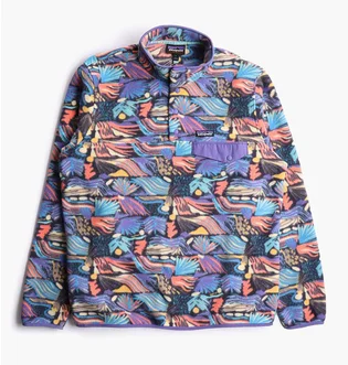 Кофта чоловіча Patagonia Lightweight Synchilla Snap-T Fleece Pullover Multi 25551