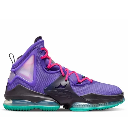Кроссовки унисекс Nike Lebron Xix Dj Bron Violet Cz0203-500