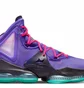 Кроссовки унисекс Nike Lebron Xix Dj Bron Violet Cz0203-500