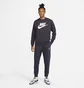 Штаны мужские Nike Sportswear Club Fleece Grey Bv2671-540
