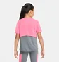 Футболка детская Nike Dri-Fit Trophy Ss Top Pink/Grey DA1096-675