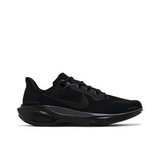 Кросівки чоловічі Nike Air Zoom Pegasus 41 Black FD2722-001