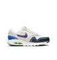 Кросівки дитячі Nike Air Max 1 Grey HF7814-100