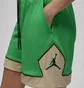 Шорты женские Air Jordan Diamond Shorts Green DZ3352-310
