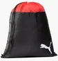Рюкзак унісекс Puma Teamgoal Black 076853-01