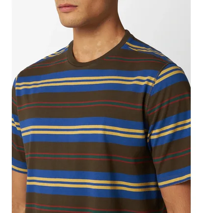 Футболка мужская Pop Trading Company Striped Logo Multi POPAW23_02-004