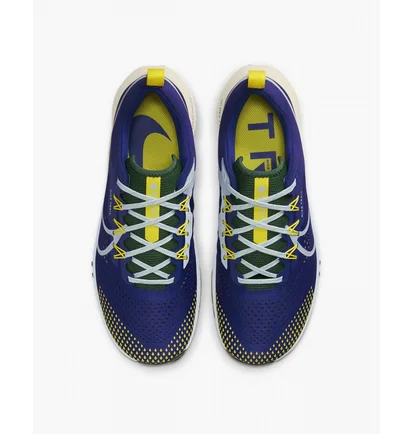 Кросівки чоловічі Nike React Pegasus Trail 4 Blue Dj6158-400