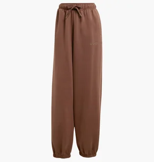 Штани жіночі Adidas Essentials Linear Oversized Brown JW0986
