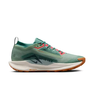 Кроссовки мужские Nike Pegasus Trail 5 Gore-Tex Green FQ0908-300