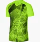 Футболка чоловіча Nike Jersey M Nk Df Prcsn Vi Jsy Ss Green/Black DR0944-702