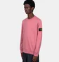 Свитшот мужской Stone Island Pink L1S156100060-S0051-V008G