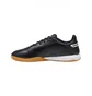 Футзалки мужские Puma King Match It Indoor Black 107261-01