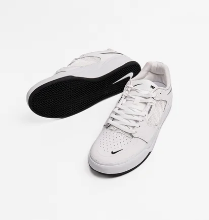 Кросівки чоловічі Nike Sb Ishod Wair Premium White Dz5648-101