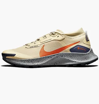 Кроссовки мужские Nike Pegasus Trail 3 Gtx Beige DC8793-200
