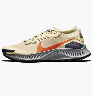 Кросівки чоловічі Nike Pegasus Trail 3 Gtx Beige DC8793-200
