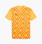 Футболка мужская Puma Teamglory Soccer Jersey Yellow 705740-61