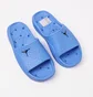 Тапочки чоловічі Air Jordan Franchise Blue HQ2163-401