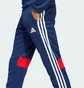 Штаны детские Adidas Tiro 25 Essentials Blue JD0576