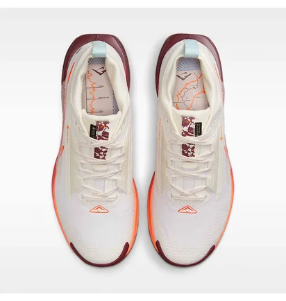 Кросівки жіночі Nike Pegasus Trail 5 Gtx White FQ0912-104